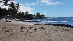 best beaches in kona hawaii 